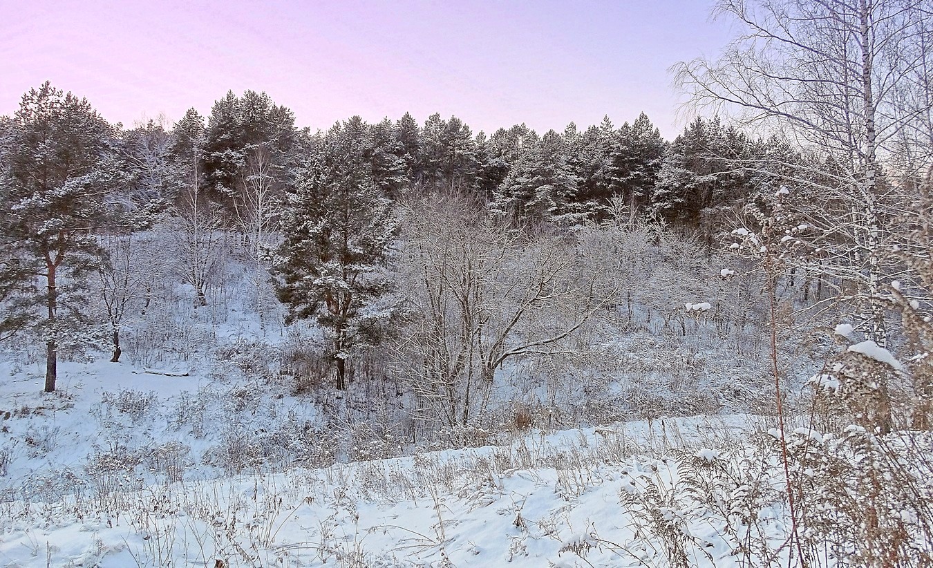 Зимняя природа