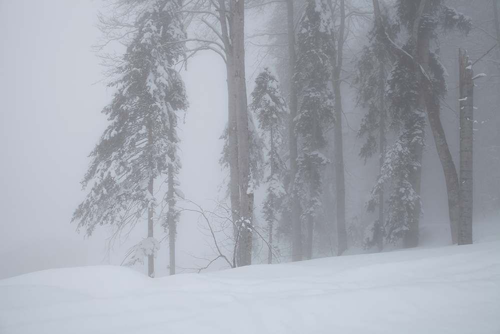 Низко легли облака