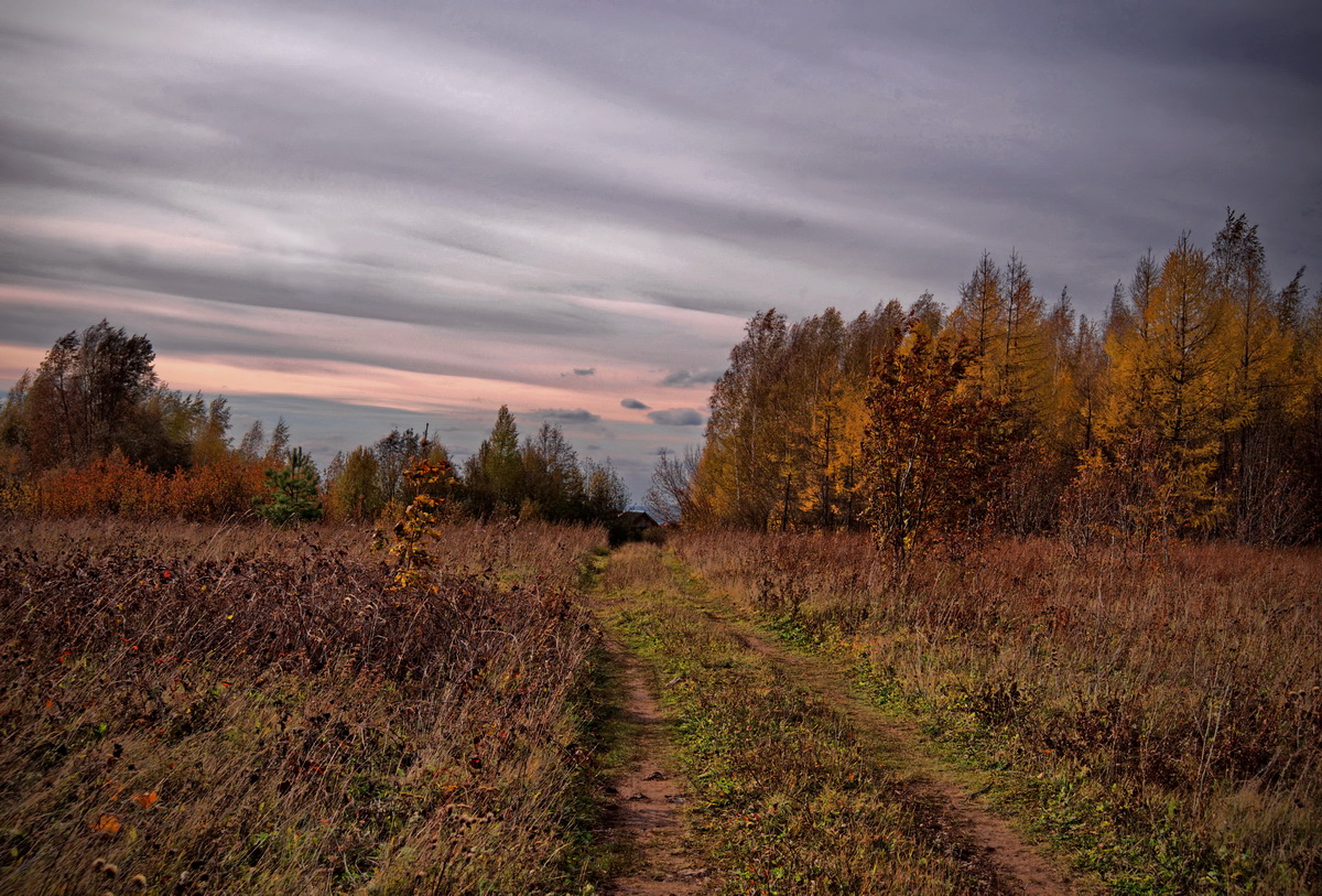 Уходящая в осень