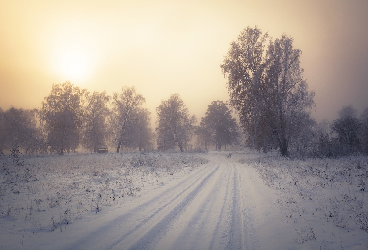 Осенний свет.
