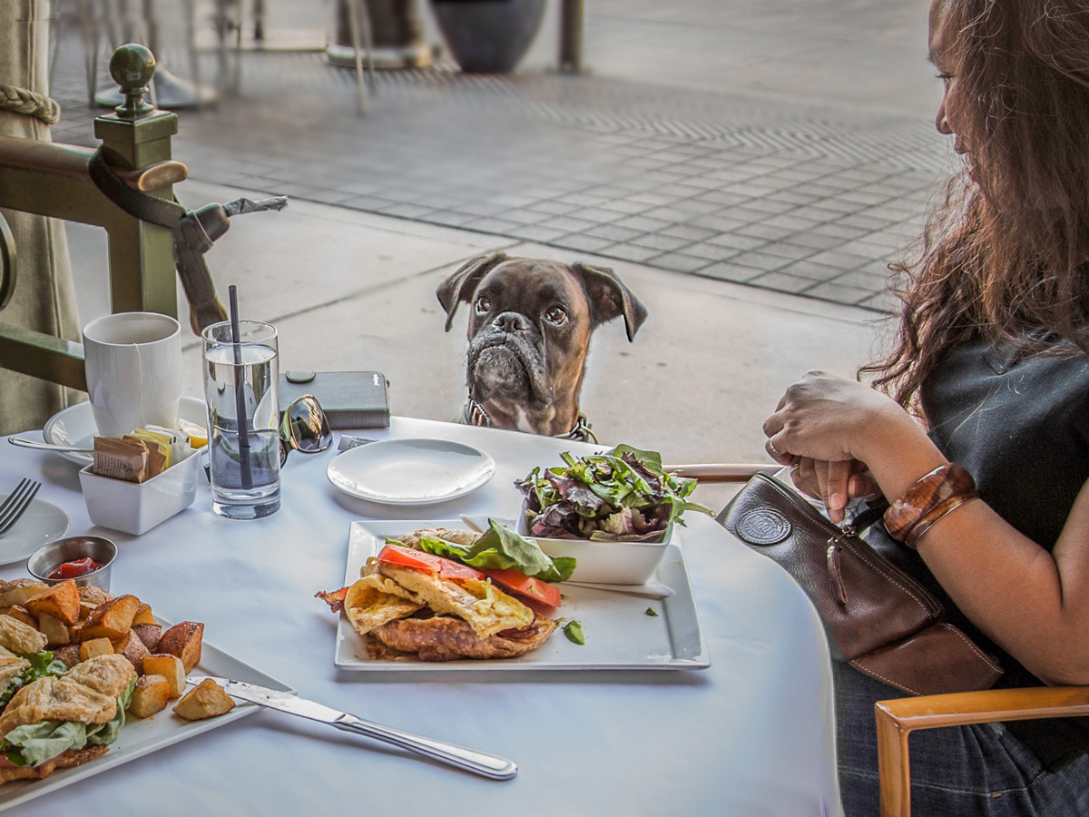 Завтрак аристократа