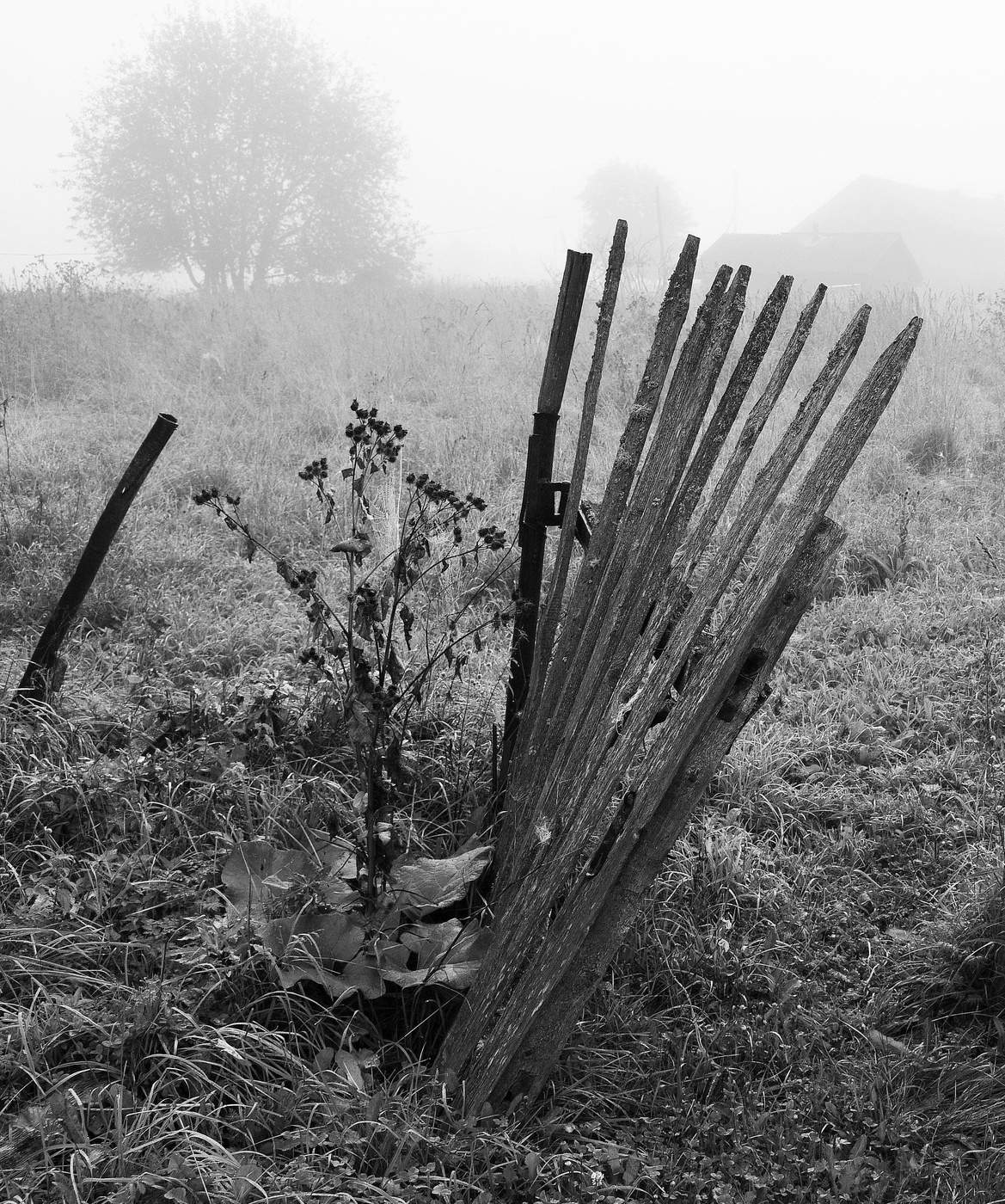 Калитка в никуда ...