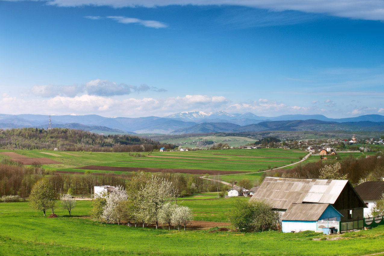 весна уже близко