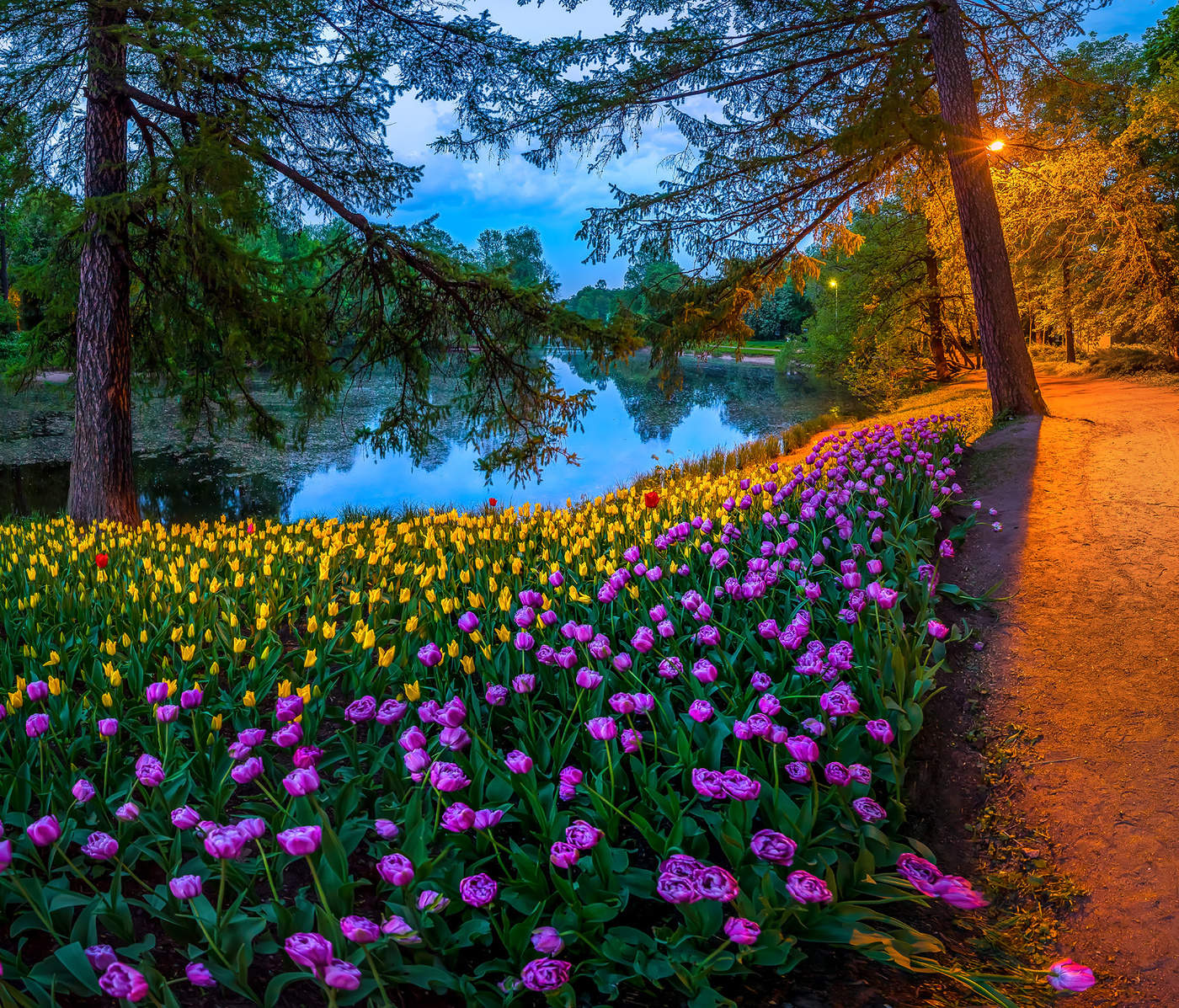 Белые ночи в парке Санкт-Петербурга.