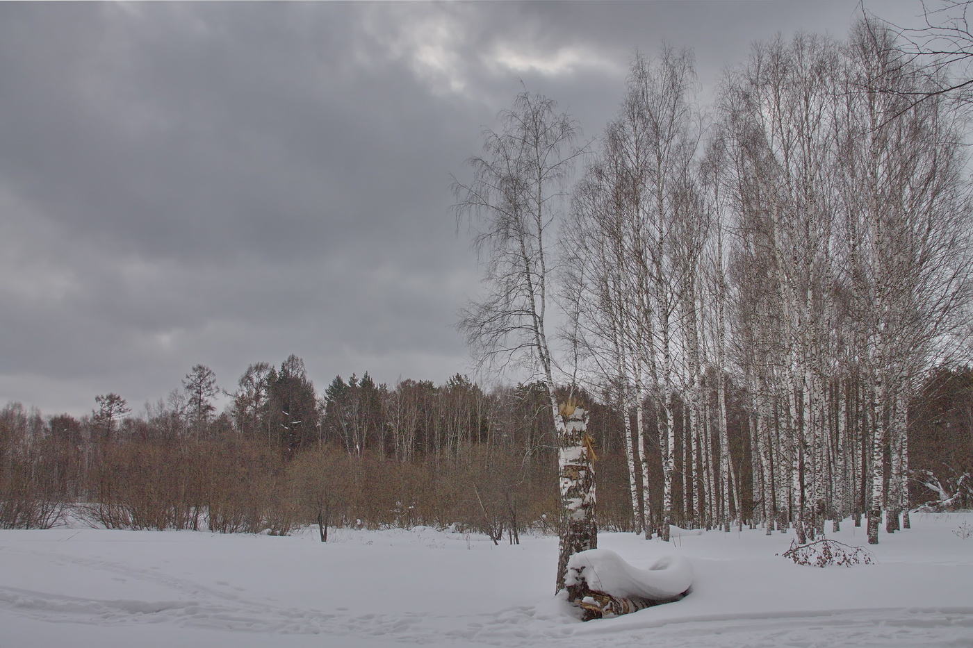 СКОРО ВЕСНА