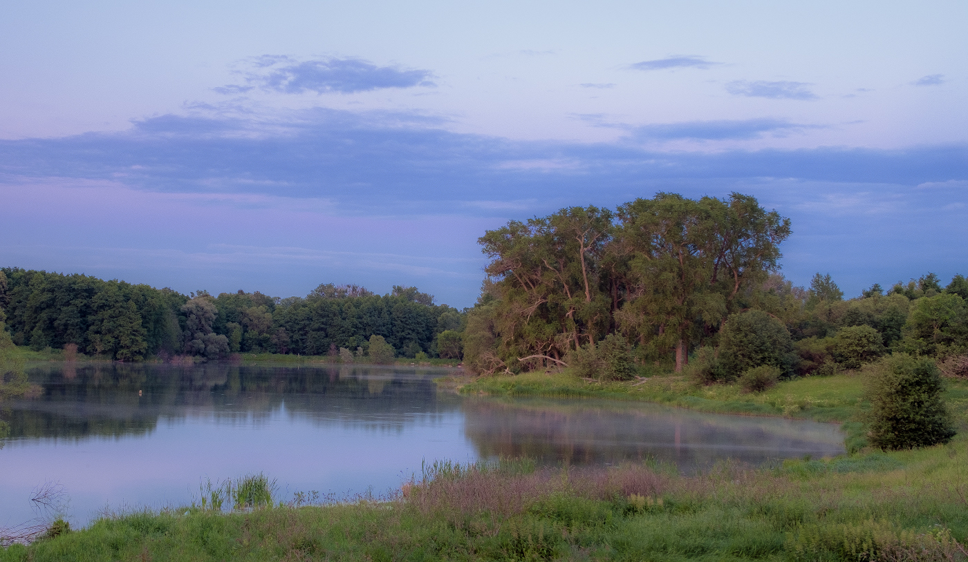 Вечером на пруду