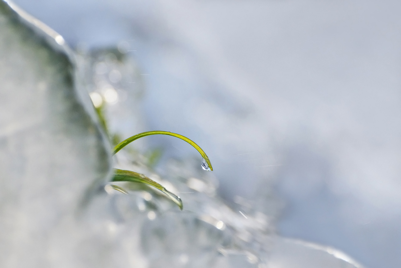 Весна шепнёт тебе живи...