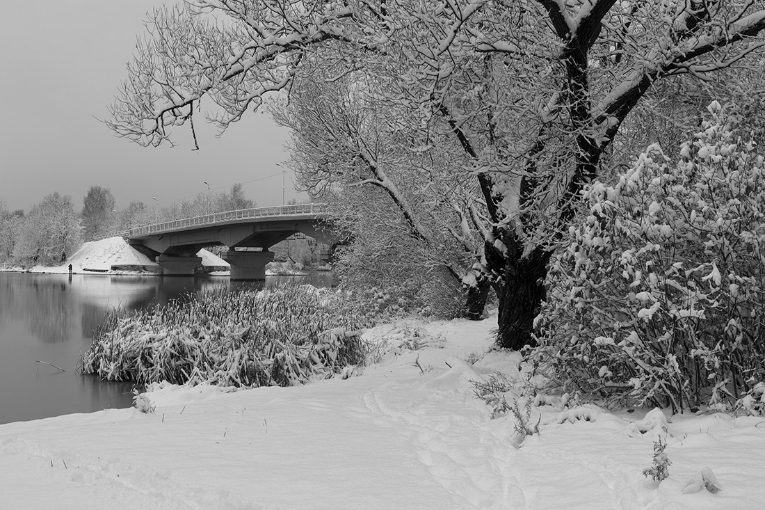 Зимнии кружева