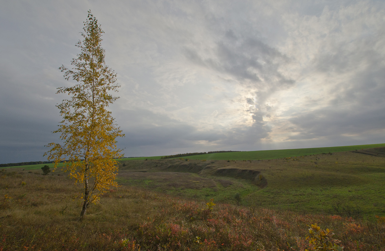 Осень в урочище Степной Дубик