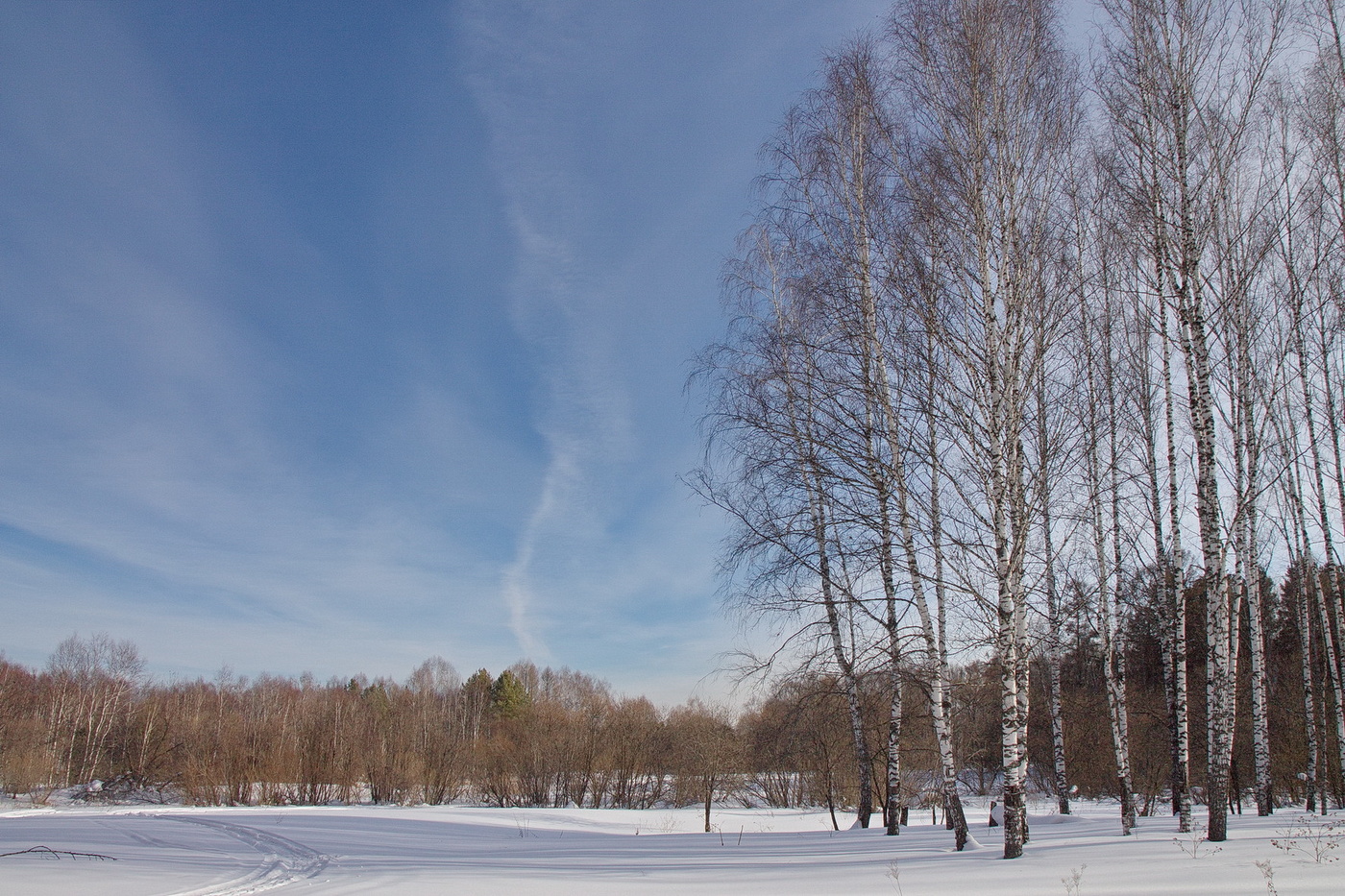 КОНЕЦ ЗИМЫ.