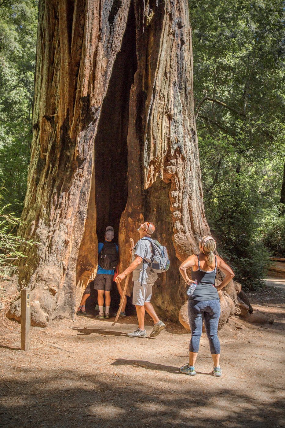 A что там внутри?