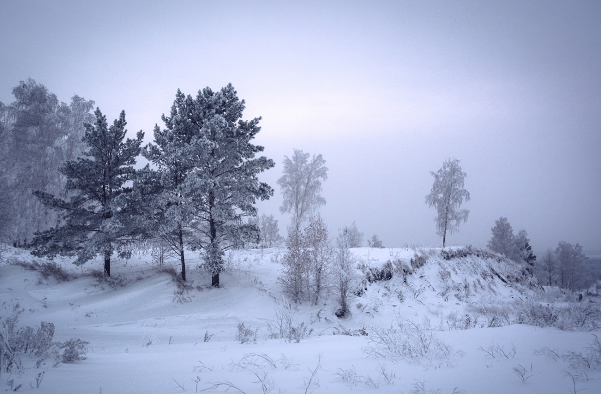 Зимние зарисовки.