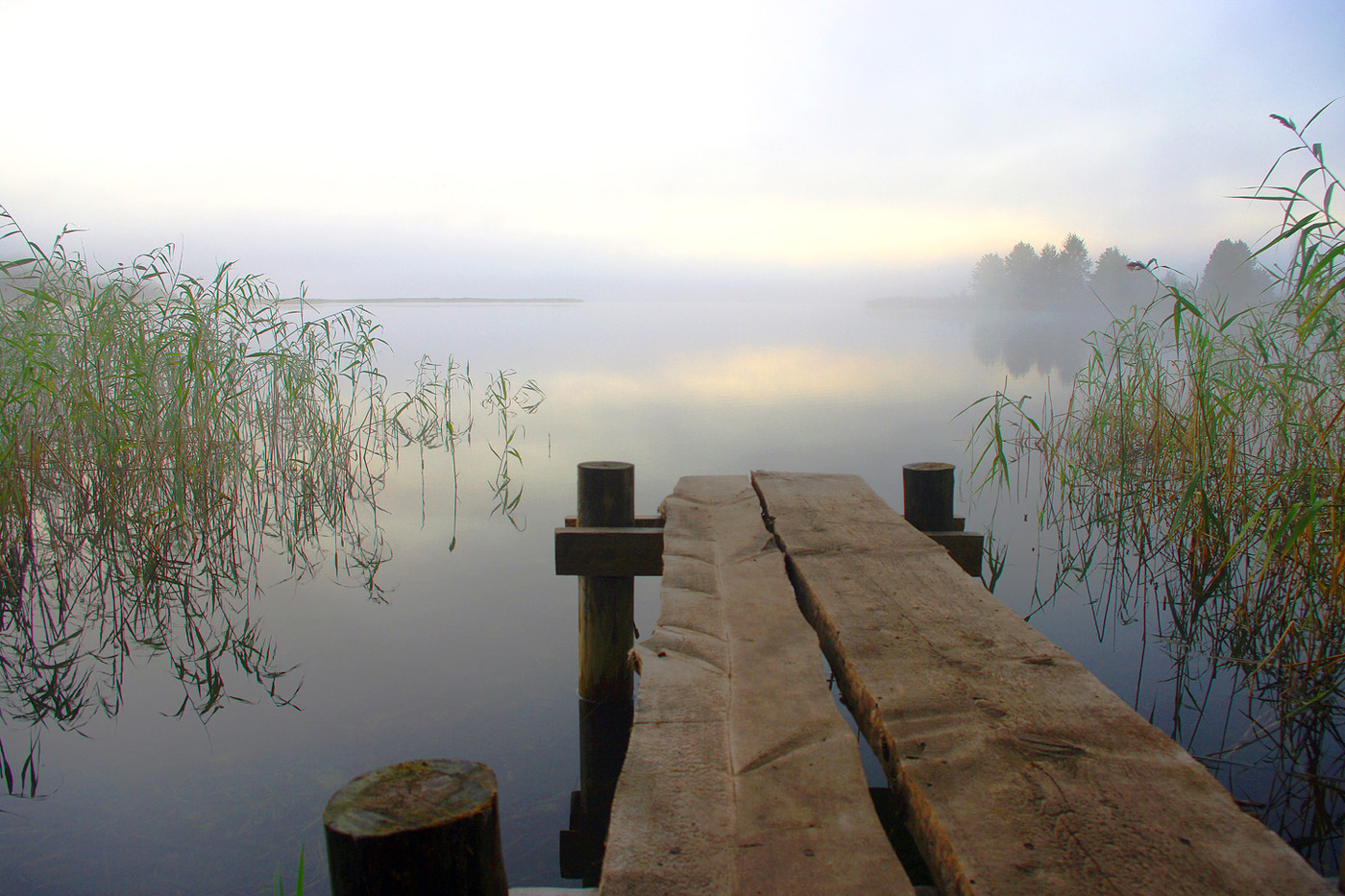 Скоро рассвет, выход есть