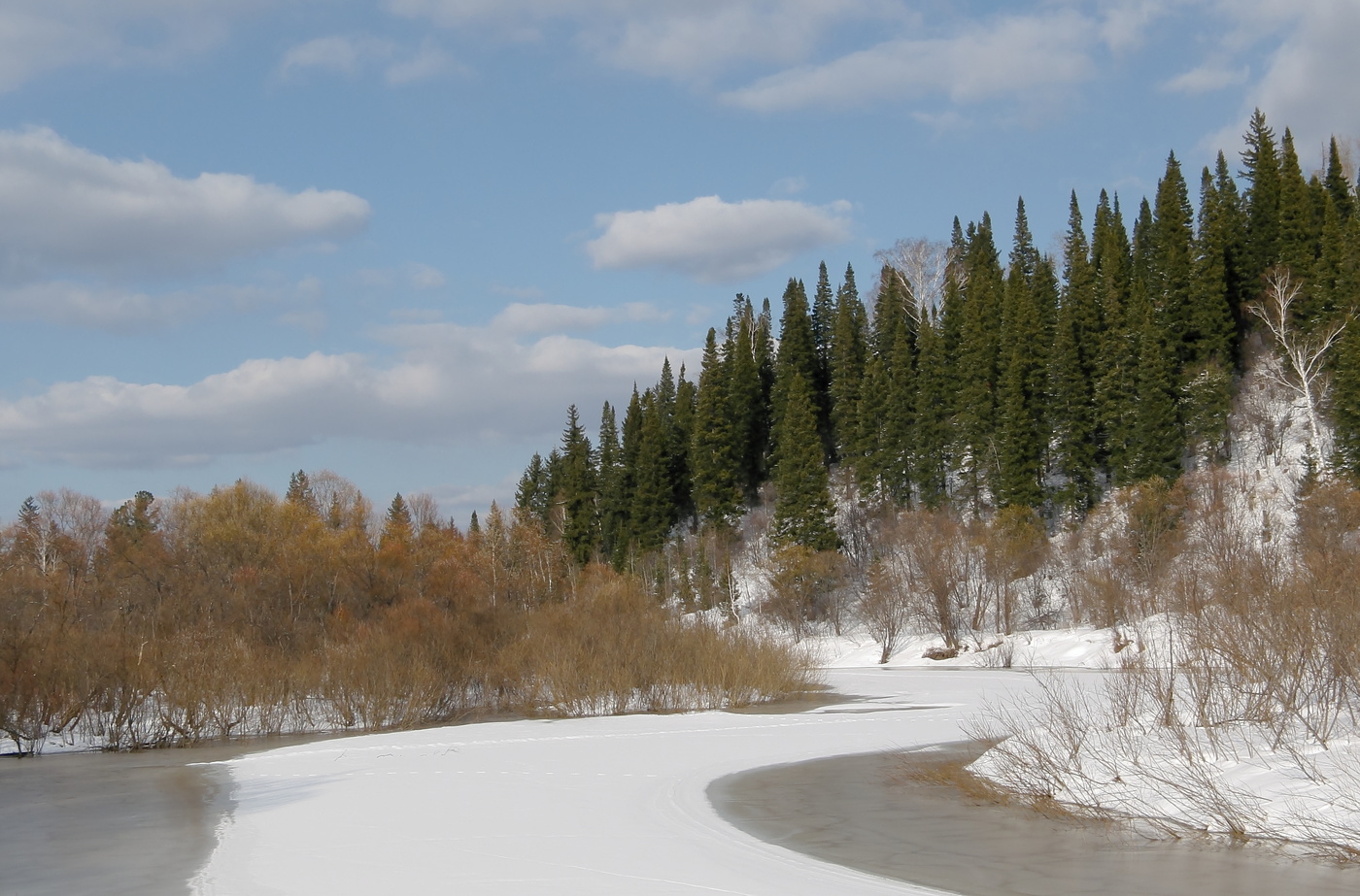 В тайгу пришла весна
