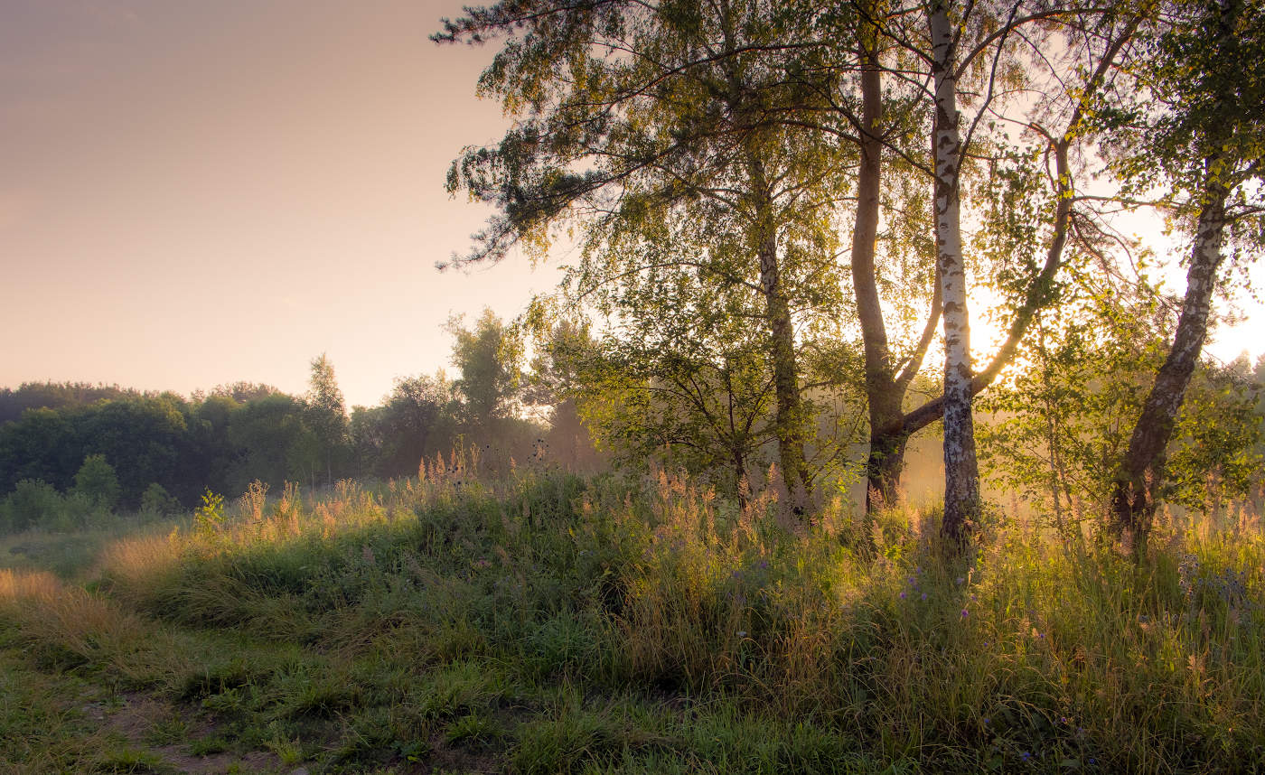 Под нежными лучами