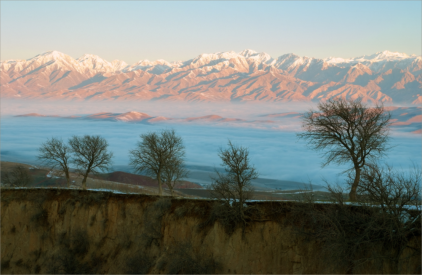 Туманная долина