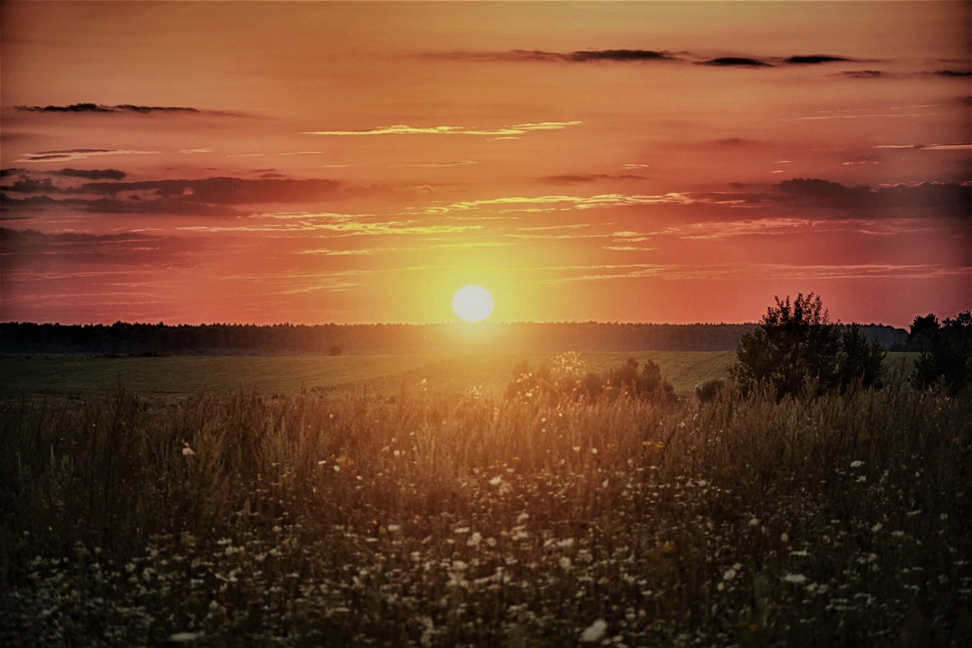 Прощай родимая сторонка