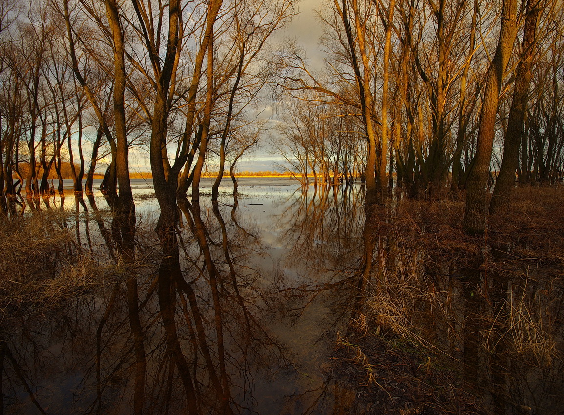 Последние лучи весеннего вечера