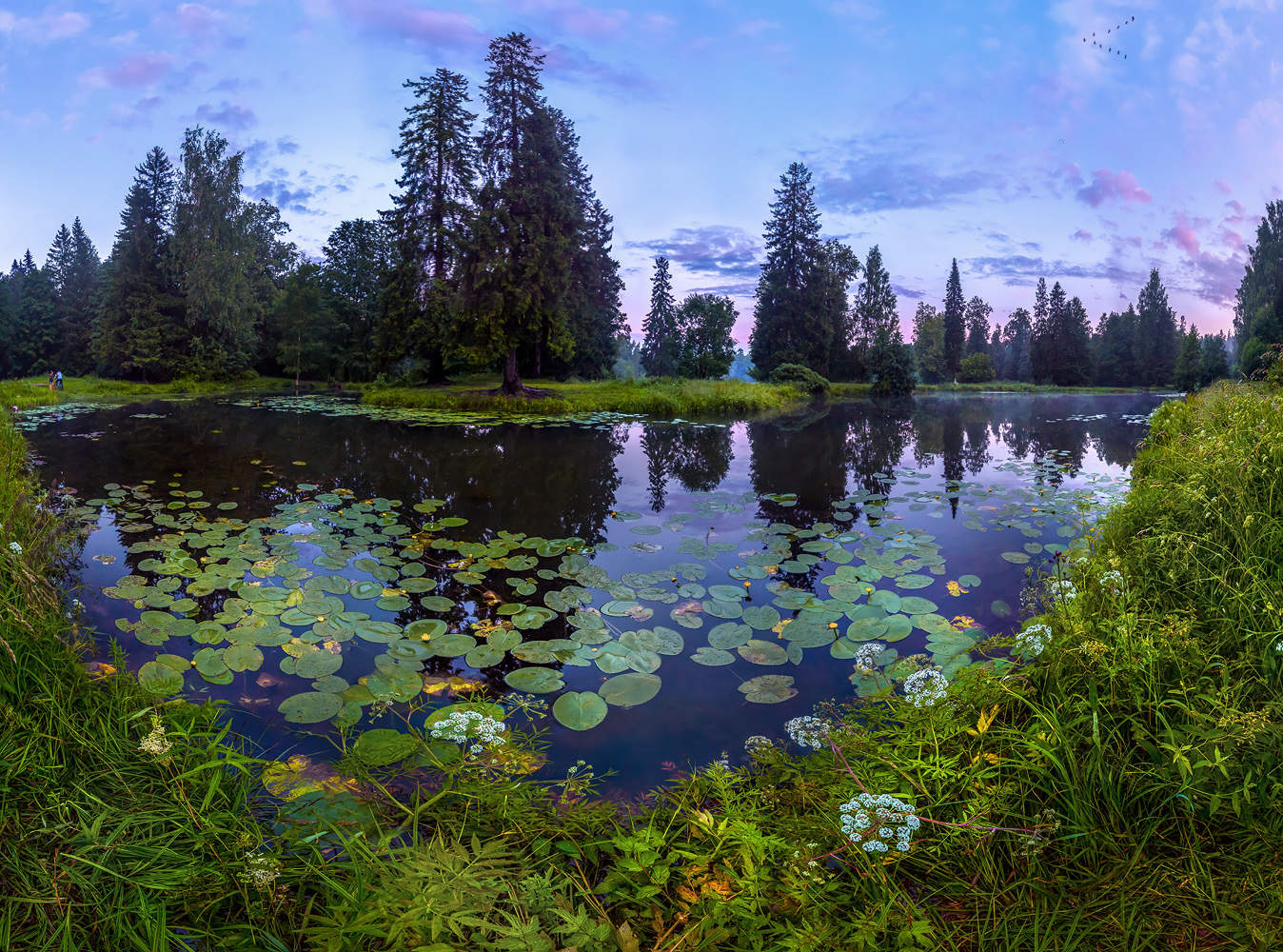Старый пруд в Шуваловском парке.