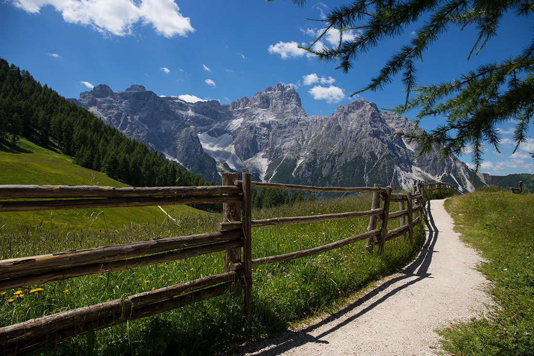 Вдоль забора