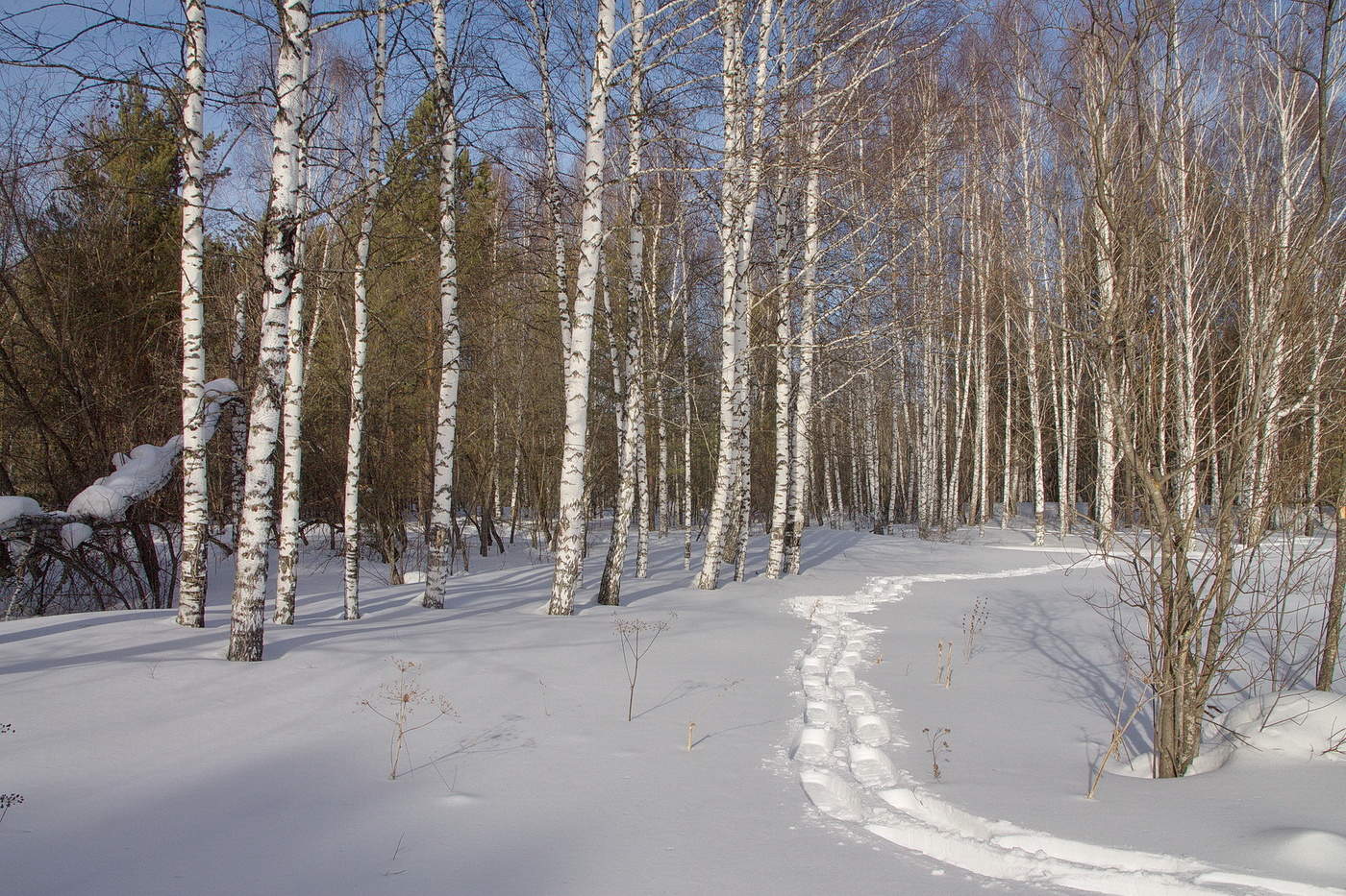 НАЧАЛО МАРТА