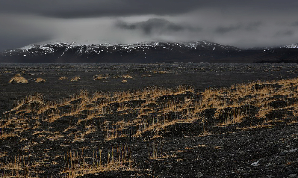 Остатки лета