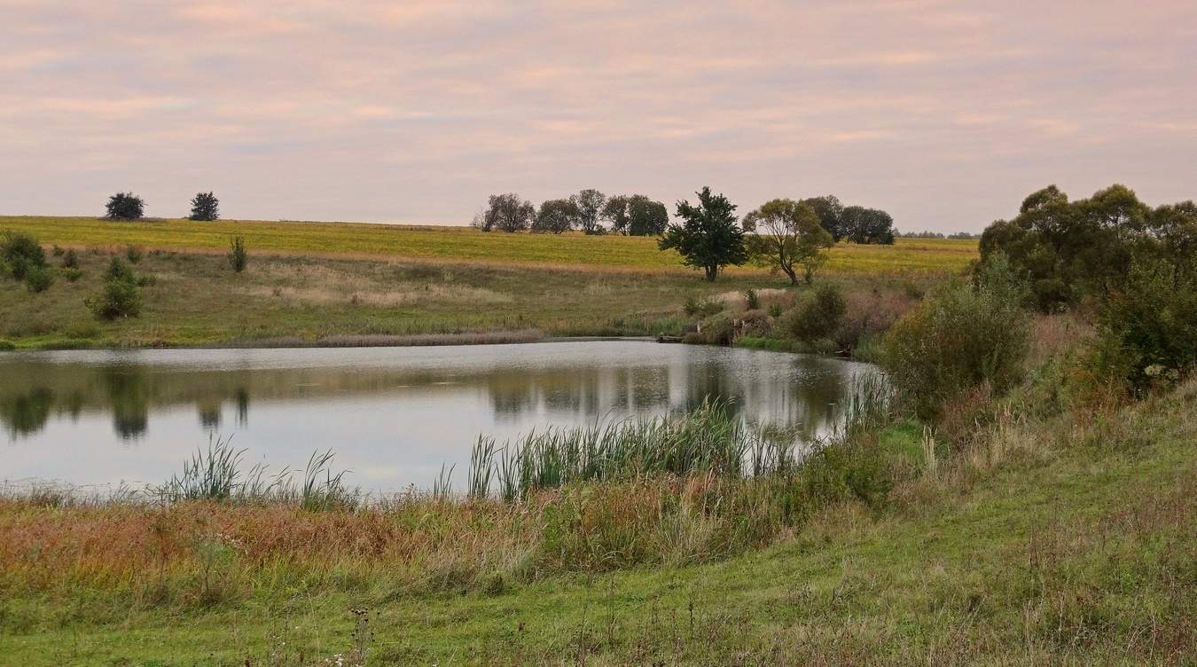 Утром, на рассвете