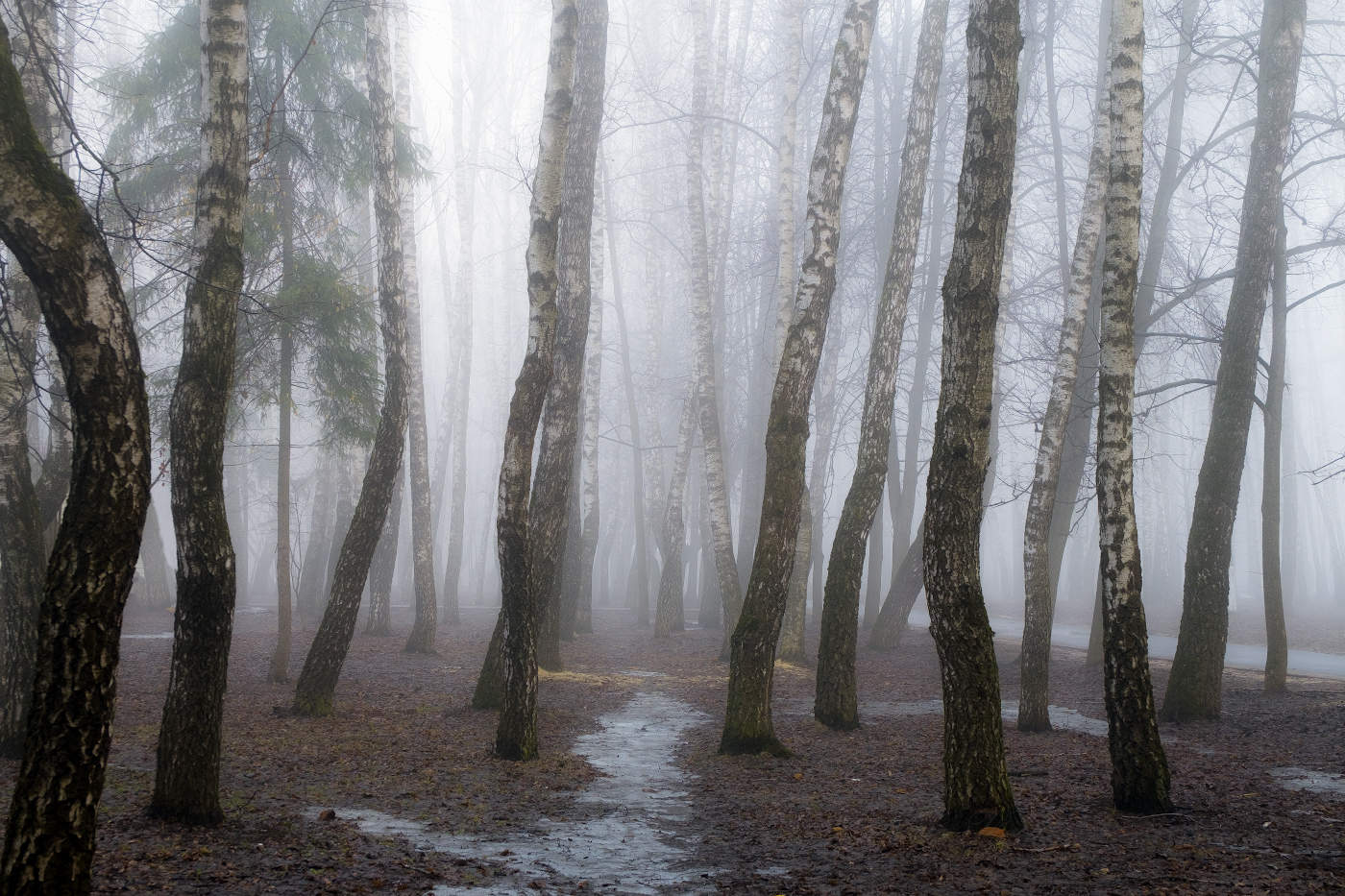 Тропинка в туман