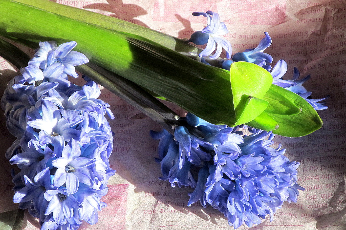 С праздником Весны!