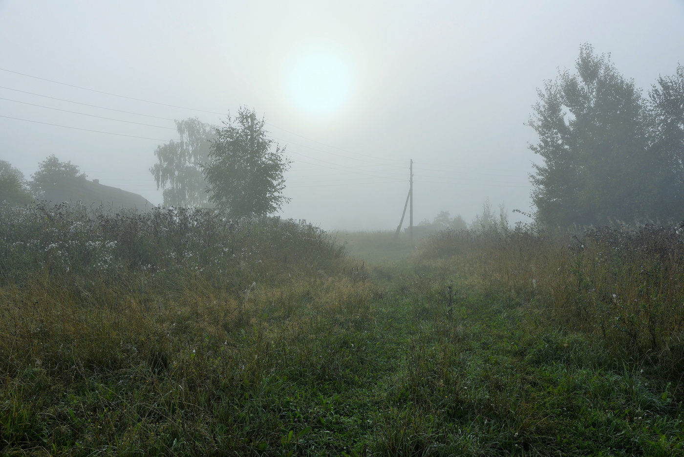 Утренний этюд ...