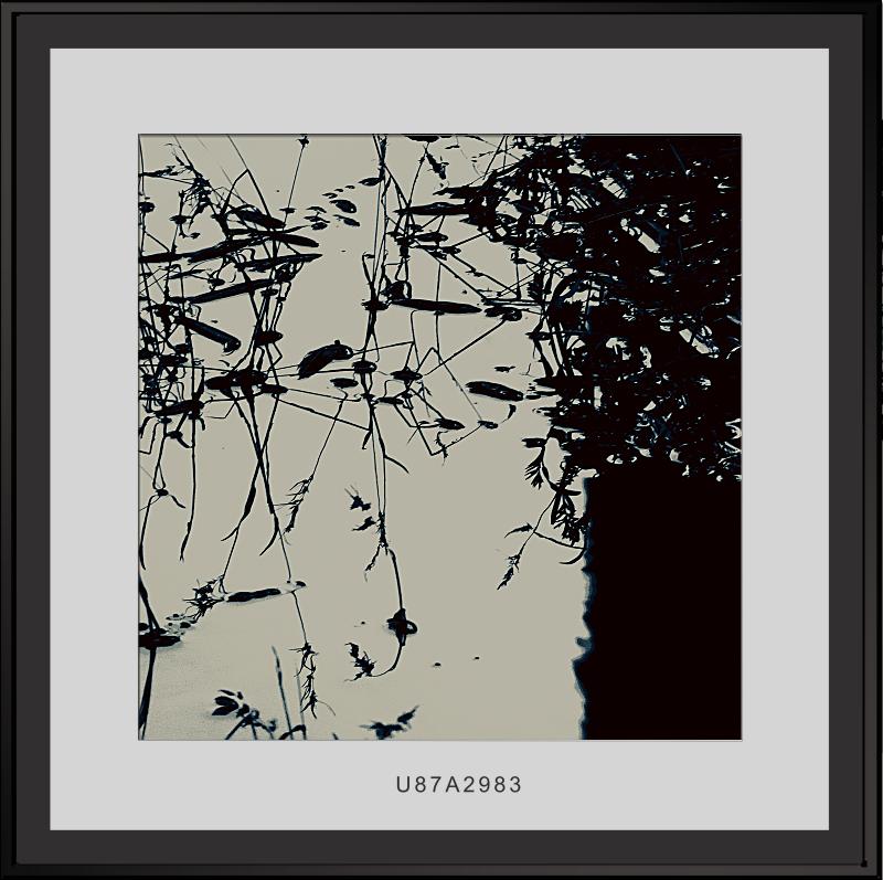 тушь по воде