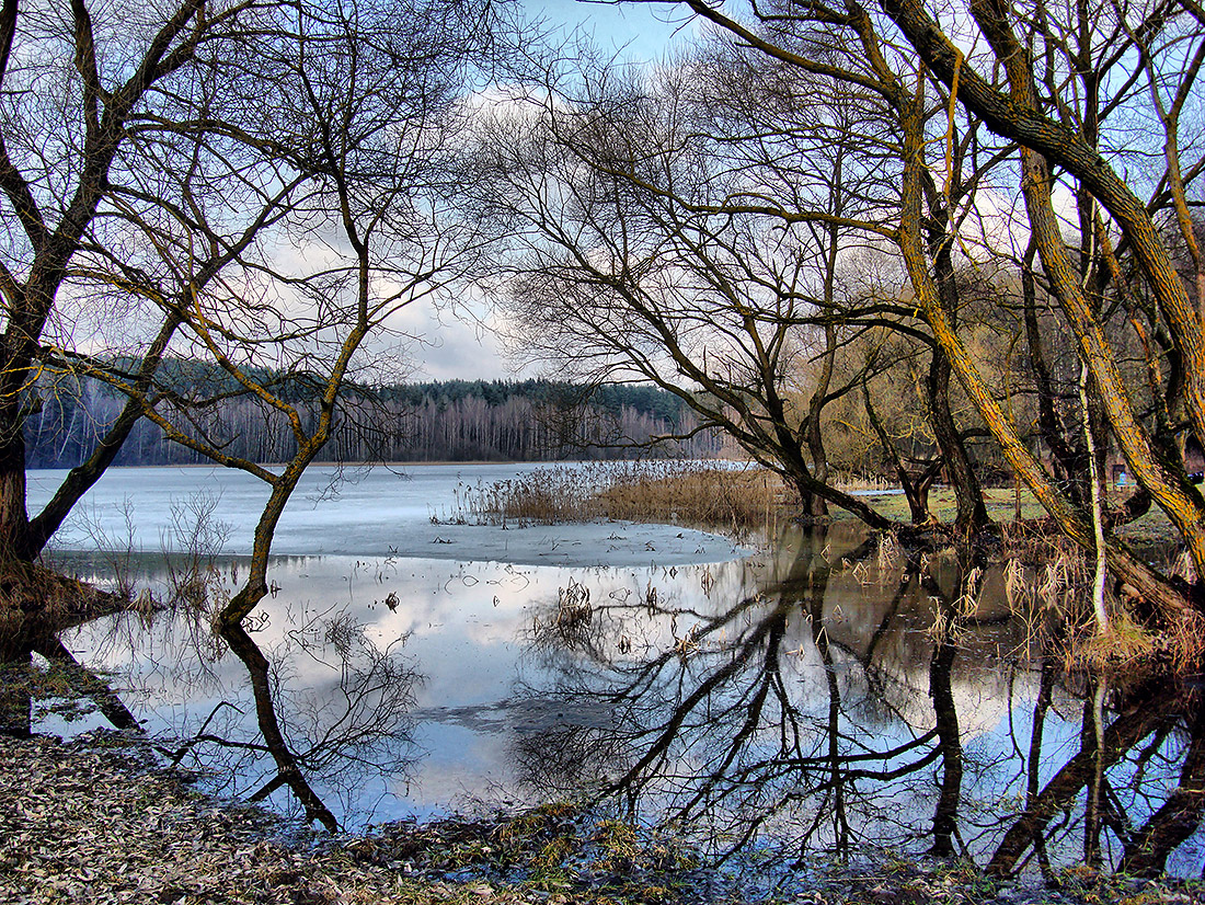 Ранняя весна.