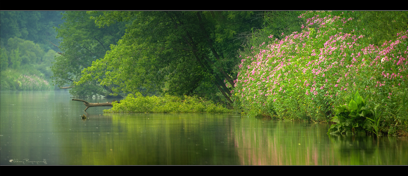 Тихое утро на берегу Красивой Мечи.