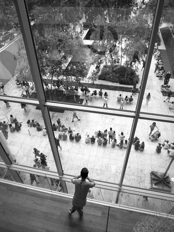 Сквозь стекло