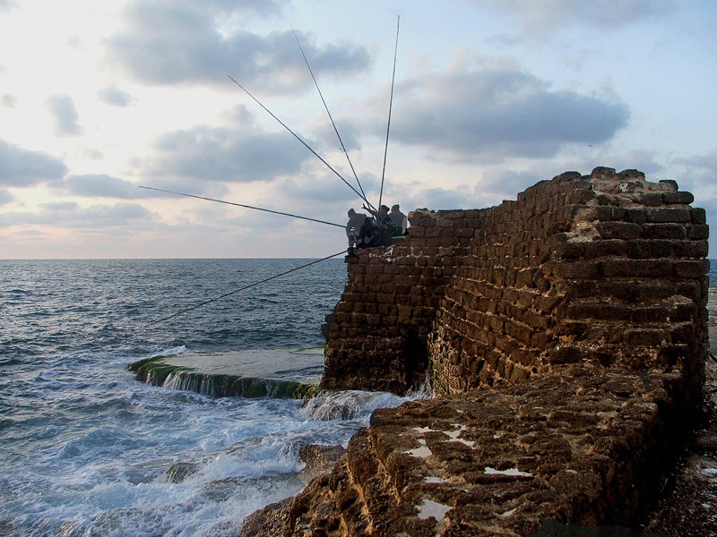 Анатомия рыбалки