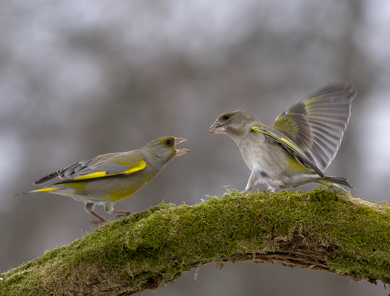 Противостояние 2.