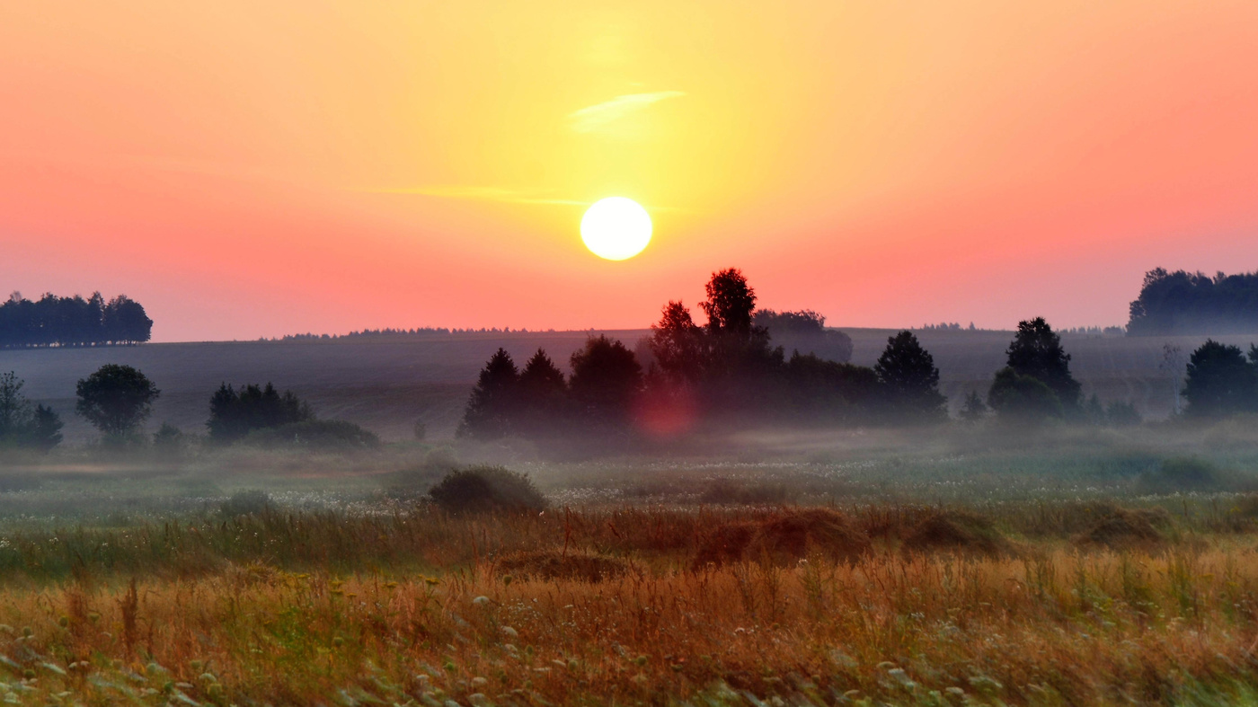 «Розовый рассвет»