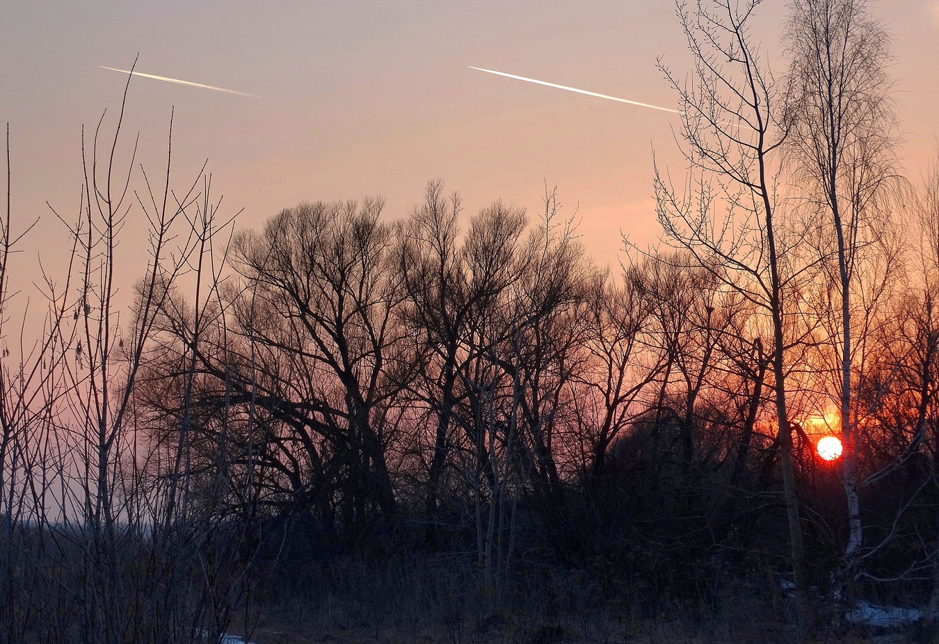 Мартовская вечерняя зарисовка