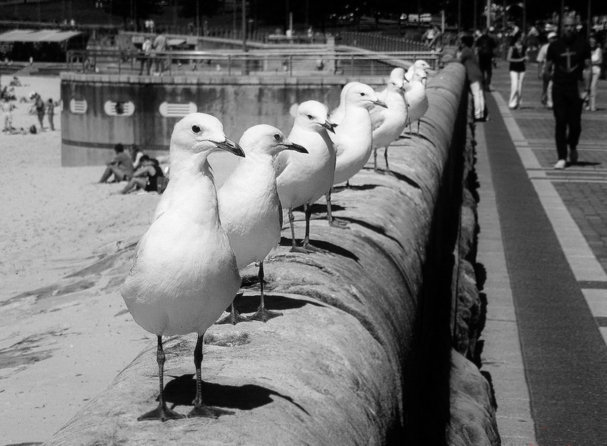 заседание состоится!