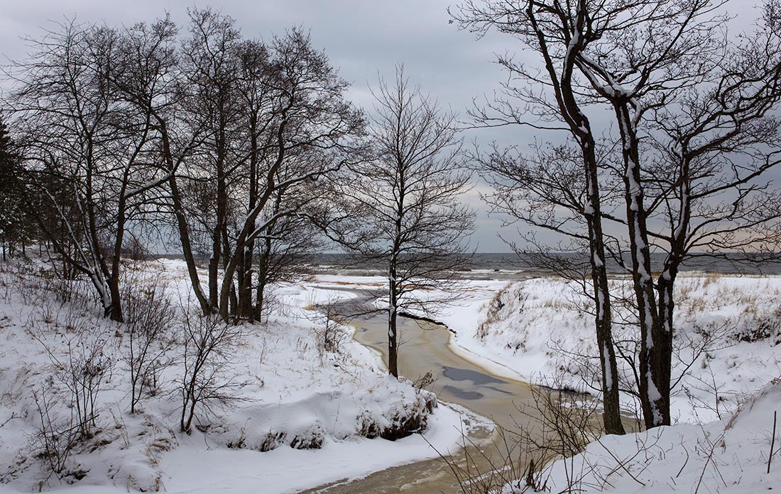 Пасмурным днем