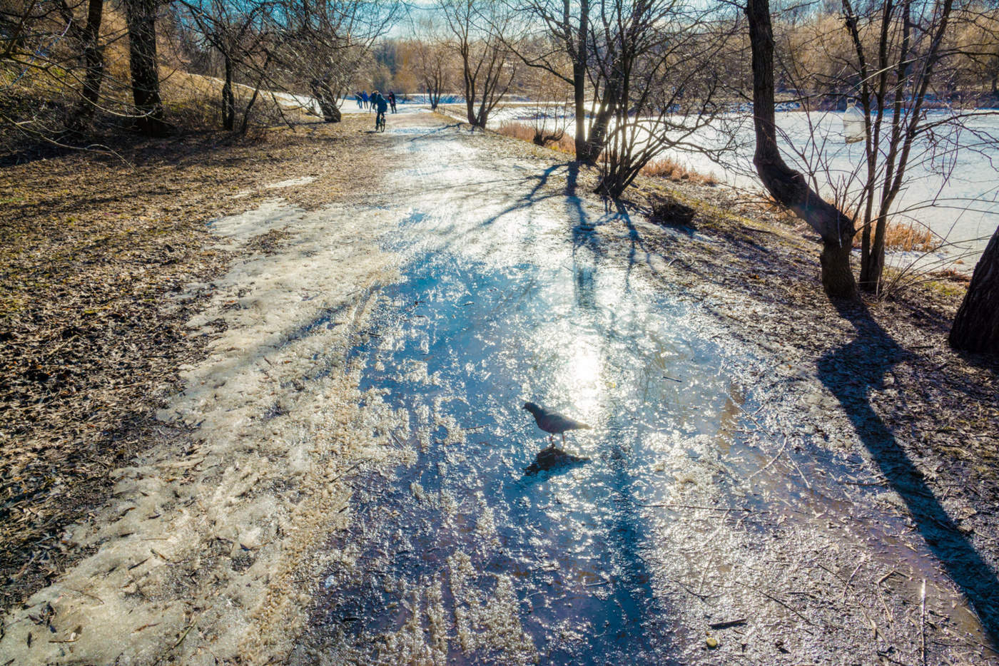 весна, весна на улице...!