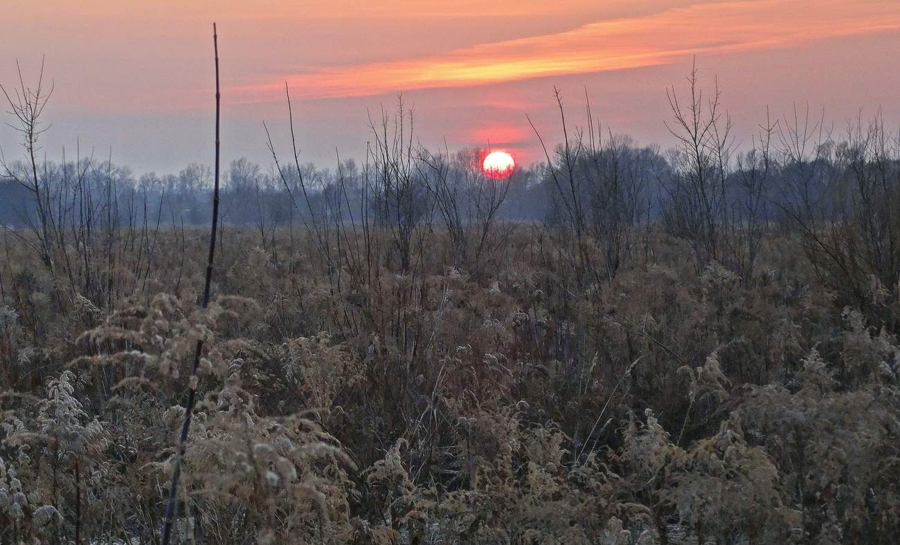 Закат, почти как в саванне