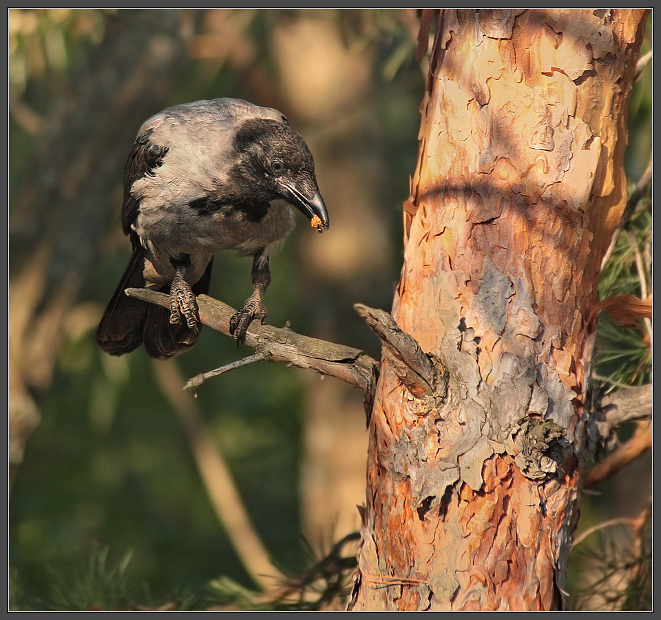 Однако, кризис...