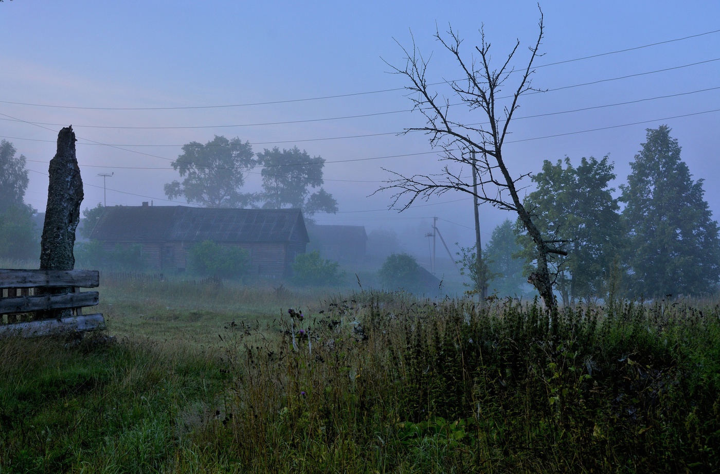Пока солнце не взошло ...