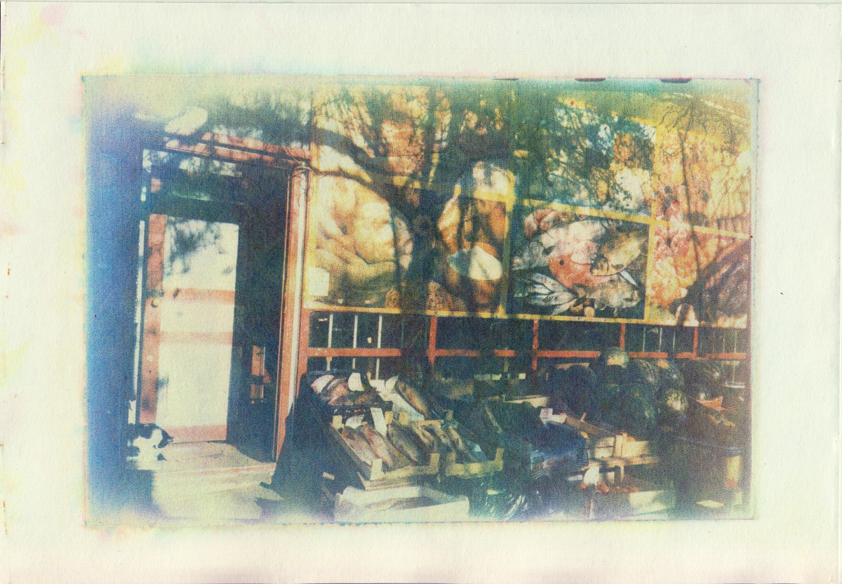 Кошка, рыба и арбузы