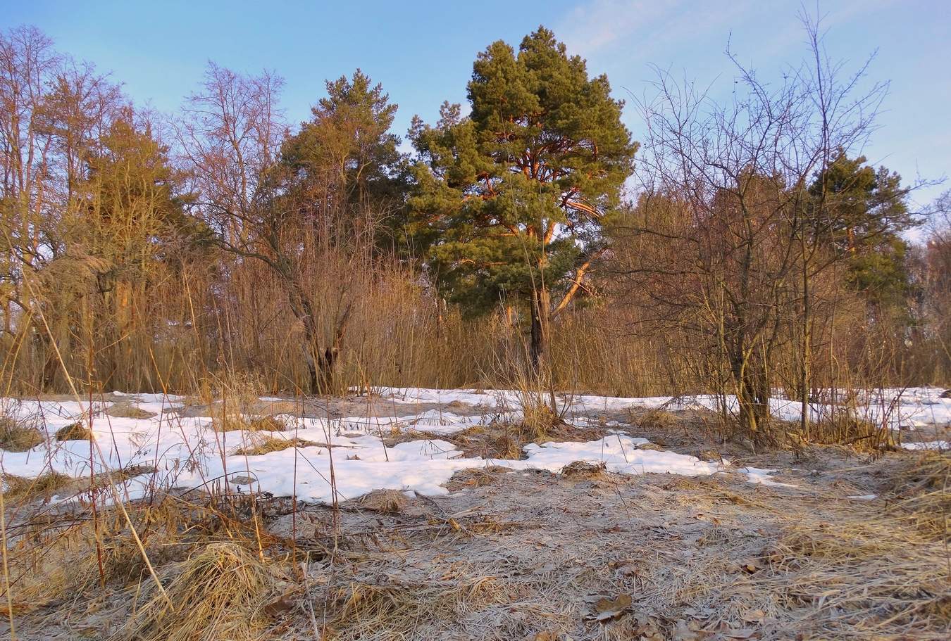 Мартовским утром подморозило