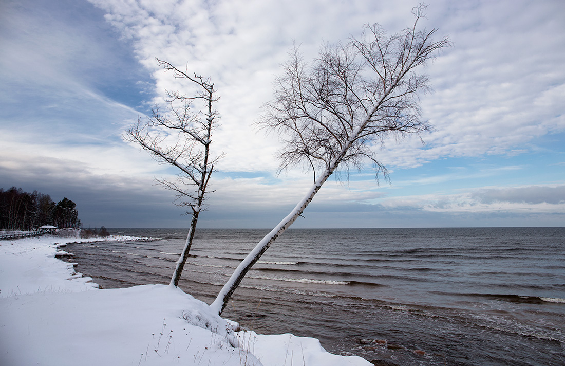Долгое падение
