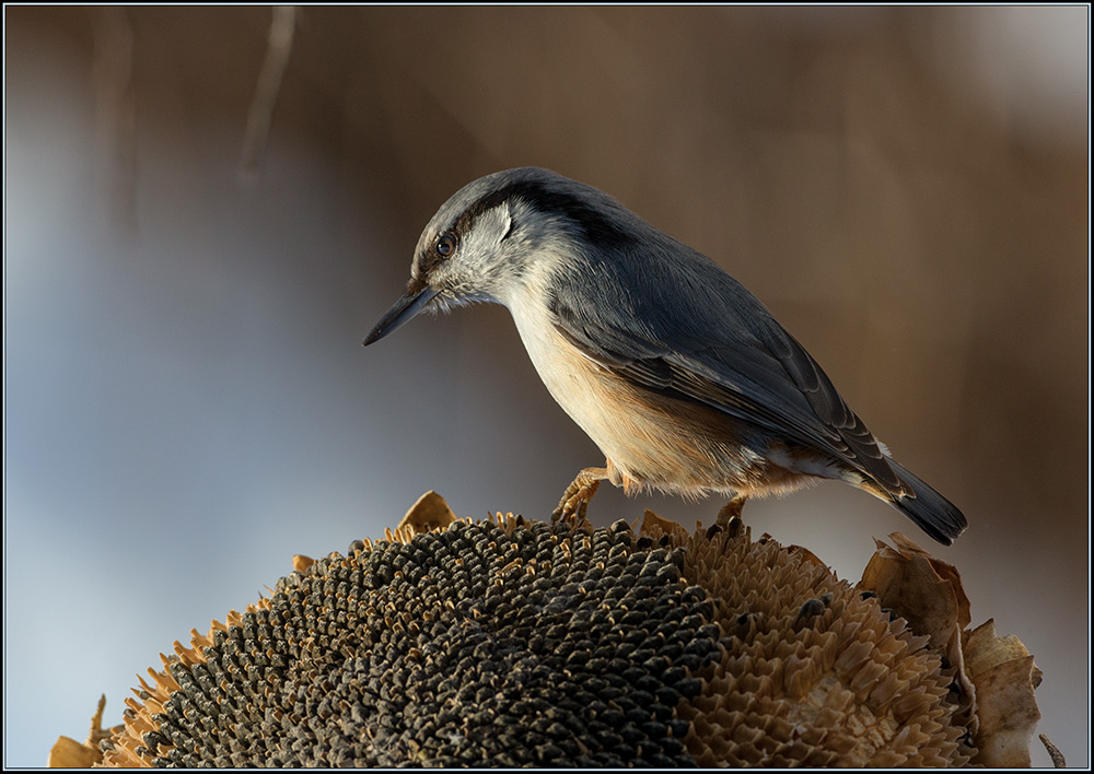 И все-таки она вертится