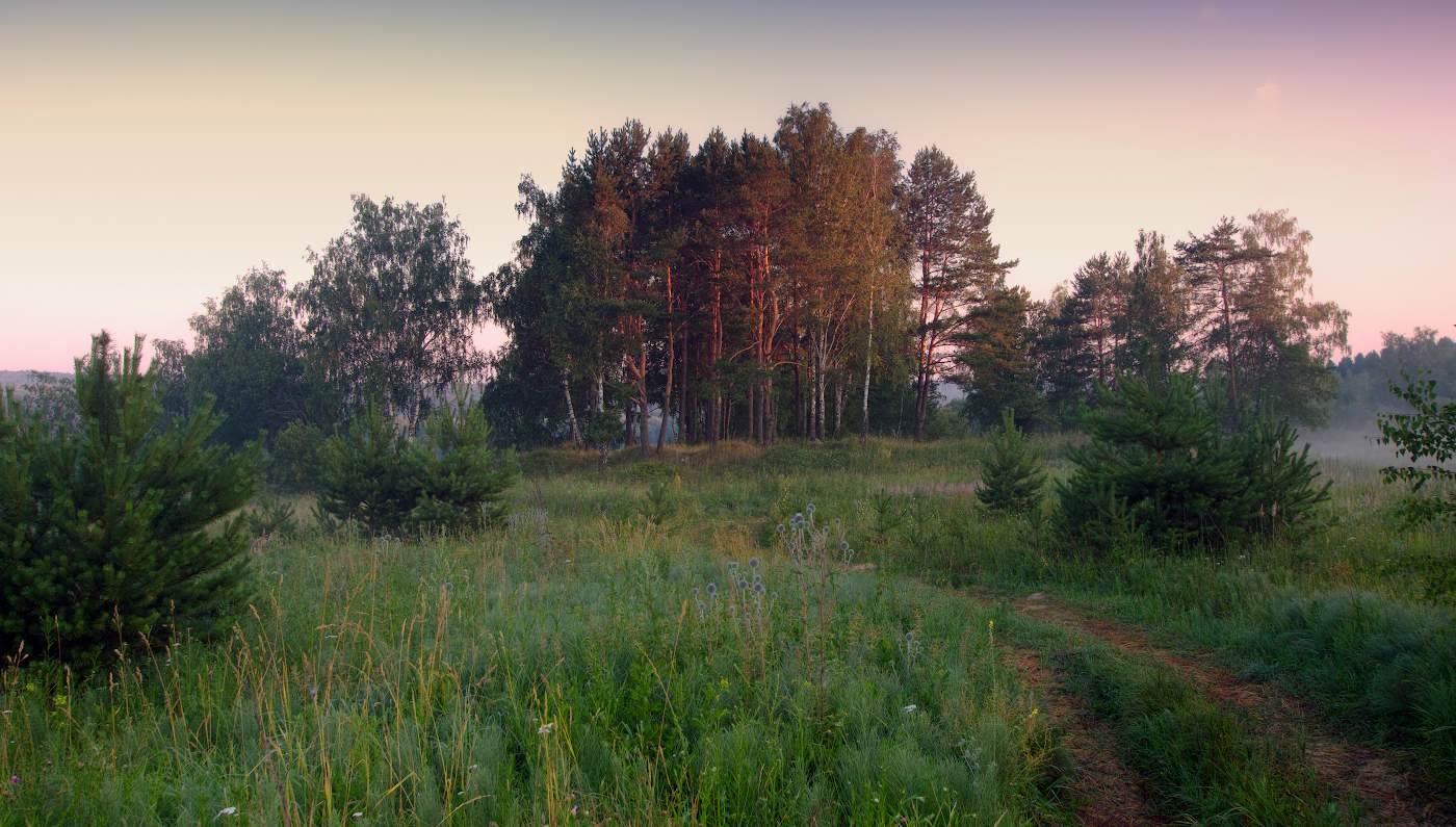 Летними дорогами