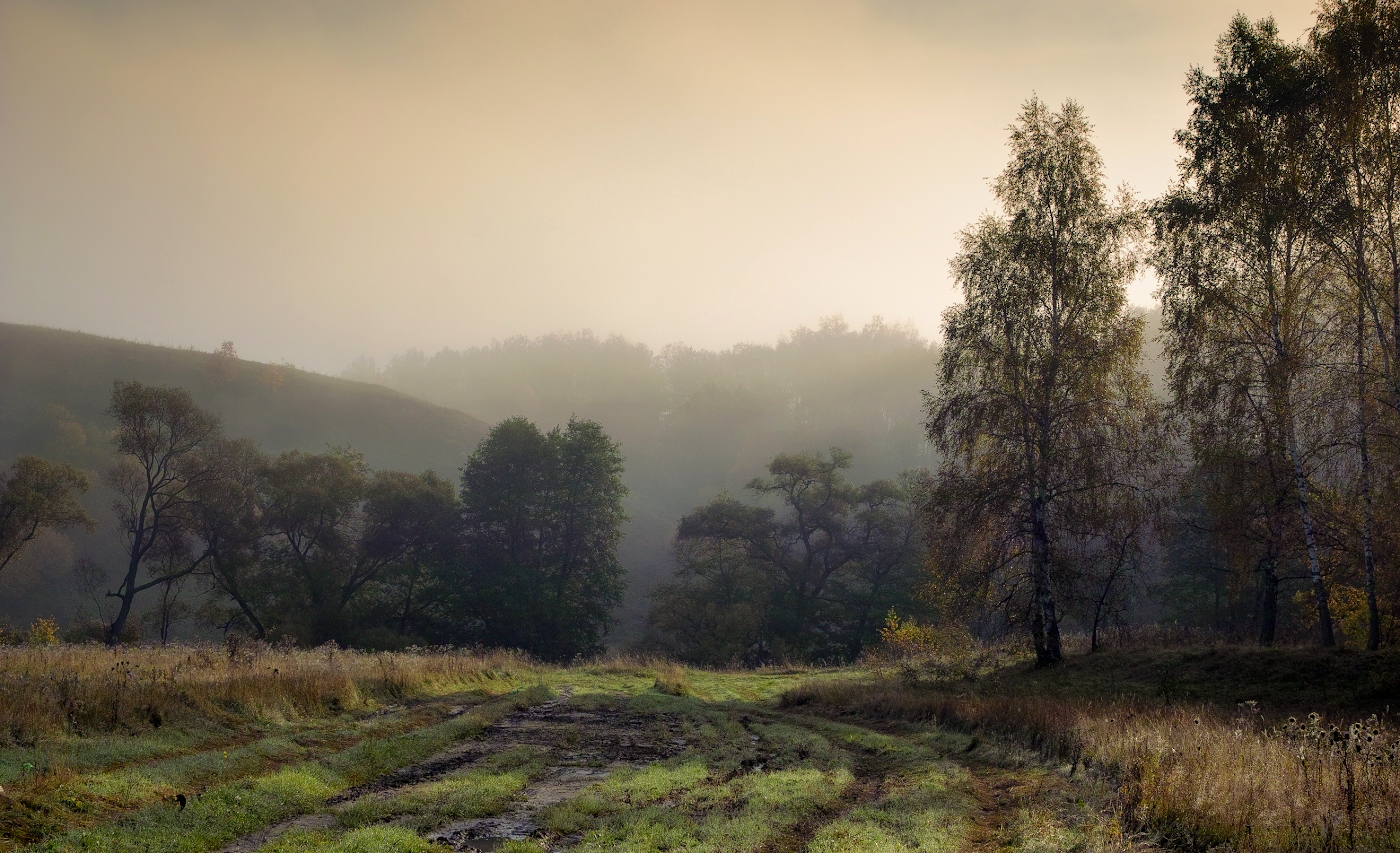 Тающая дымка утра
